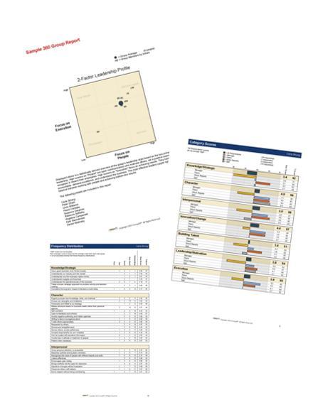 Pictures of reports for Group50's 360 degree tools