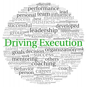 Driving Strategic Execution requires a well thought through process and accountability for every stakeholder in the business.