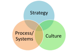strategy.process.cultre