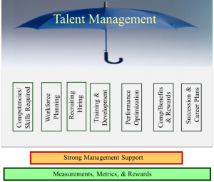 Talent Management Self Assessment