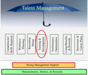 Talent Management Training and Development