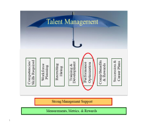 Talent Management - Performance Optimization