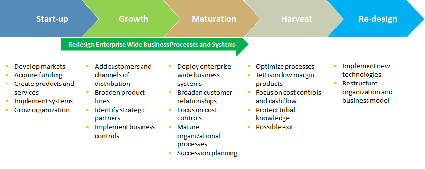 Middle Market Business Life Cycles and Information Technology