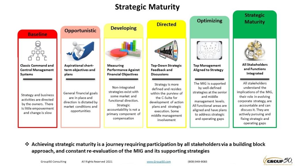 strategic maturity strategic execution